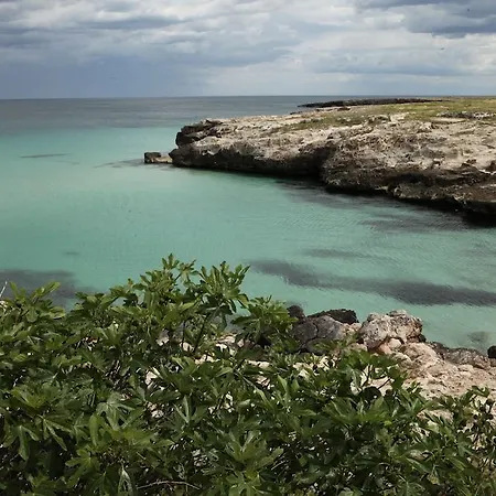 Playa Del Mar - Adults Only Oda ve Kahvaltı Monopoli