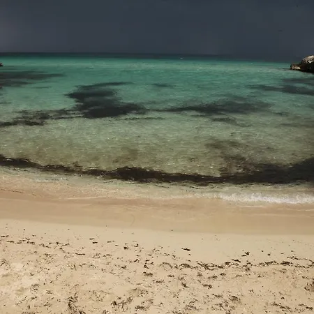 Playa Del Mar - Adults Only B&B 모노폴리