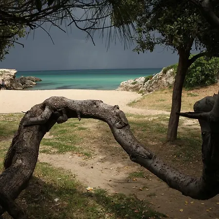 Bed & Breakfast Playa Del Mar - Adults Only