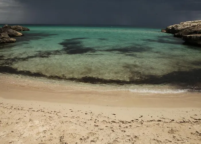 Playa Del Mar - Adults Only Bed & Breakfast Monopoli